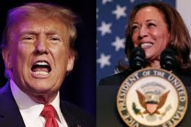 5 Hari Menuju Pilpres AS, Harris dan Trump Bersaing Ketat di Negara Bagian  Penentu