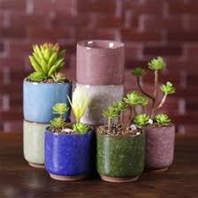 We stock a variety of indoor plant pots to best show off your favourite fern or cactus. Shop Small Ceramic Flower Pots Wholesale Uk Small Ceramic Flower Pots Wholesale Free Delivery To Uk Dhgate Uk