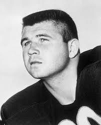 Chicago Bears Coaching Options