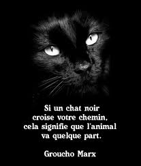 Un Chat Noir Chat Noir Citation Chat Chat