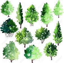 Un Ensemble De Differents Arbres A Feuilles Caduques Illustration Vectorielle Clip Art Libres De Droits Vecteurs Et Illustration Image 41729669