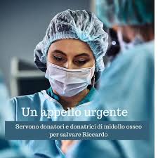 Luciana Di Liberto Author