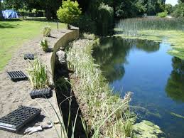 Bulkheads or retaining walls to control erosion on steep slopes you may need to construct a bulkhead or retaining wall to provide adequate erosion control. Private Riparian Clients Estate And Countryside Management