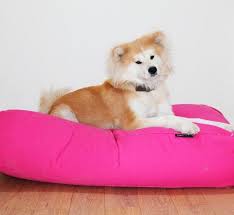 Luxury beds are available for both. Dog Bed Pink Small Dog Beds By Dog S Companion