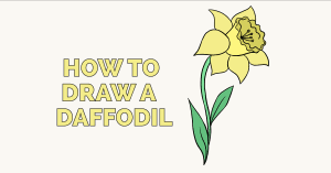 In this video lesson you learn how to draw a daisy flower step by step. How To Draw A Dead Rose Really Easy Drawing Tutorial