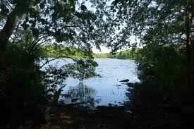 See 18 traveler reviews, 35 photos and 2 blog posts. Tstl 16 10 Millers Pond State Park