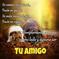 Descargar la última versión de frases para amigas y amistad verdadera para android. Frases De Amistad Cortas Y Bonitas Las Mejores