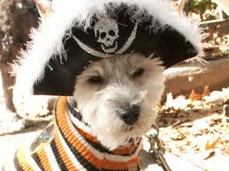 The best Halloween dog costumes