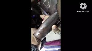 Andra Anti Chiki Karchesindi Kasiga: Indian Bukkake Porn