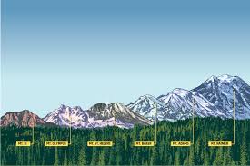 We did not find results for: Washington S 6 Signature Mountains Are Waiting Seattle Met