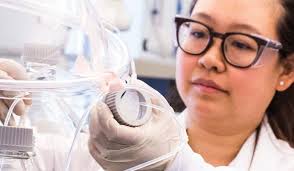 Council of Experts Activities