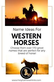 170 Western Horse Names For Mares And Geldings Male And Female Horse Names Western Horse Horses