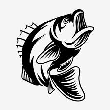 Detailed Bass Fish Vector Illustration For Fishing Fish Clipart Bass Fish Png And Vector With Transparent Background For Free Download In 2020 Fish Vector Fish Illustration Fish Silhouette Seamless pattern with animal footprint texture. detailed bass fish vector illustration