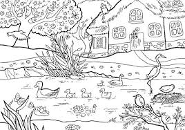 Dengan gambar pemandangan sederhana ini, anda bisa mengajari anak untuk mencoba mewarnai pemandangan dengan warna yang menarik. Aneka Gambar Mewarnai Gambar Mewarnai Pemandangan Sungai Pemandangan Warna Gambar Pedesaan