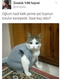 Beria Adli Kullanicinin Tweetler Panosundaki Pin Komik Komik Seyler Komik Hayvanlar