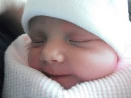 Iris Dream Frederick