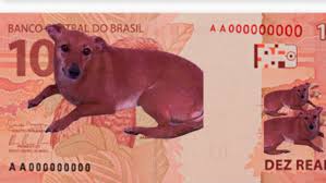 Nesse episódio do cachorro caramelo cast batemos um papo sobre teorias da conspiração e apresentamos algumas que podem ser interessantes de se conhecer. Peticao Para Colocar Vira Lata Caramelo Na Nota De 10 Reais Viraliza Nas Redes Brasil Extra Online