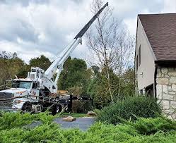 For more information, click here. Tree Care Removal Service Hamilton Nj Hts Tree Services