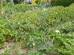 Pin Auf Garten