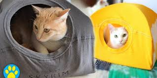 Kendin Yap Eski Tisortten Kedi Cadiri Yapimi Ukala Hayvan