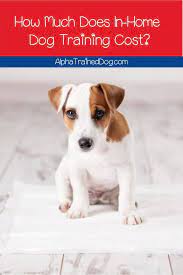 How Much Does In Home Dog Training Cost Alpha Trained Dog Dog Training Dog Training Camp Dog Behavior Training