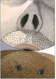 Got a curious kindergartener on your hands? 17 Two Bad Ants Ideas Two Bad Ants School Reading Teaching Reading