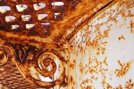 Your car is your pride and joy, and you want to keep it looking as good as possible for as long as possible. Rust Free Stock Photos Download 205 Free Stock Photos For Commercial Use Format Hd High Resolution Jpg Images