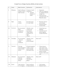 Canial Nerve Deficits Cranial Nerves Physical Therapy Assistant School Cranial Nerves Function