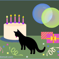 Pin On Happy Birthday