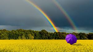 +49(0) 69 967 591 44. Warum Menschen Nie Denselben Regenbogen Sehen The Weather Channel Artikel Von The Weather Channel Weather Com