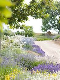 Lavendel Lavendel Och Mer Lavendel Italienischer Garten Mediterraner Garten Garten