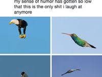 I Am The Lorax I Speak For The Trees Save The Amazon Or I Ll Break Your Knees We Have Got To Save The Rainforrest Rising Memes Hilarische Memes Grappige Memes En Grappige Grappen