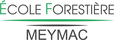 / dalle plafond polystyrene bricomarche prix from s2.lmcdn.fr. Piquet De Terre Brico Depot
