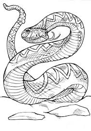 Rattlesnake Jpg 358 512 Snake Coloring Pages Coloring Pages Snake Drawing