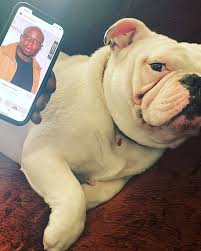 KO Blaow (@ko804) • Instagram photos and videos