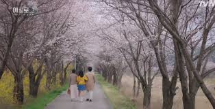 Setelah meninggal, dia memulai proyek reinkarnasi selama 49 hari. Hi Bye Mama Wallpapers Wallpaper Cave