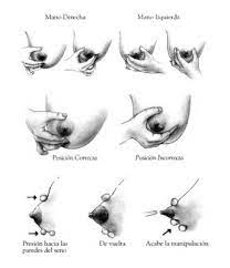 Masaje Para Estimular La Subida De La Leche Bebes De Diciembre 2013 Babycenter