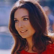 Barney Miller Classic Comedy Series Discussion