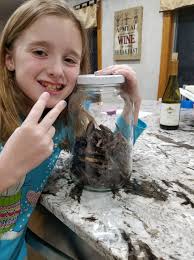 Store-bought jerky vs homemade jerky