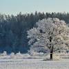 See reviews and photos of nature & wildlife areas in latvia, europe on tripadvisor. Https Encrypted Tbn0 Gstatic Com Images Q Tbn And9gcs86j Ocekbdjnf6 Pmtaqpfetjarkqlrlebkavvkn4jyoky 4o Usqp Cau