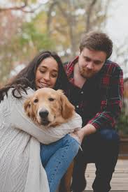 Maybe you would like to learn more about one of these? Engaging Tails Ovi The Golden Retriever In Grapevine Texas Daily Dog Tag