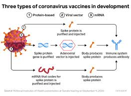A flowchart is a picture of the separate steps of a process in sequential order. How Pfizer S Mrna Coronavirus Vaccine Compares To Other Us Candidates