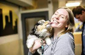 Founded in 1884, the akc is the recognized and trusted expert in breed, health, and training information for dogs. Learn More About Puppy Playgroup Camp Canine New York