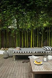 With these 26 bamboo fencing ideas we'll gladly show you some beautiful examples and possibilities. Modern Bamboo Gardening Ideas For Backyard Bamboo Garden Patio Garden Backyard