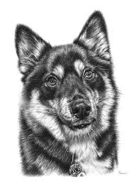 Vantaty 10 sheets realistic tiger temporary tattoos animals for men body armband soldier fake tatoo stickers for women scorpion wolf deer elk eagle bear dot adults forearm tattoos girls kids teens. Photorealistic Pencil Drawings Of Animals Remrov S Artwork