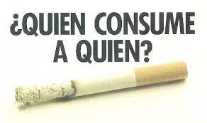 Día mundial sin tabaco y salud pulmonar se celebra el 31 de mayo de cada año. Pin En Salud Dental