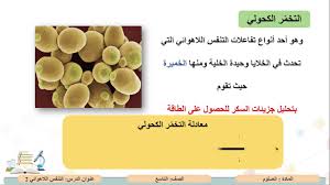 Ø§Ù„ØµÙ Ø§Ù„ØªØ§Ø³Ø¹ Ø§Ù„Ø¹Ù„ÙˆÙ… Ø§Ù„ØªÙ†ÙØ³ Ø§Ù„Ù„Ø§Ù‡ÙˆØ§Ø¦ÙŠ 2 Youtube