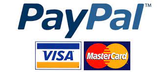 Thu, aug 19, 2021, 4:00pm edt From Enemies To Frenemies Paypal Visa Settle Their Issues Techstory