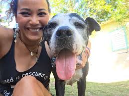 Perrito perdido en Barceloneta