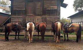 Love Valley See The Town Where Cars Aren T Allowed Only Horses In 2020 Horses Cool Places To Visit Wild West